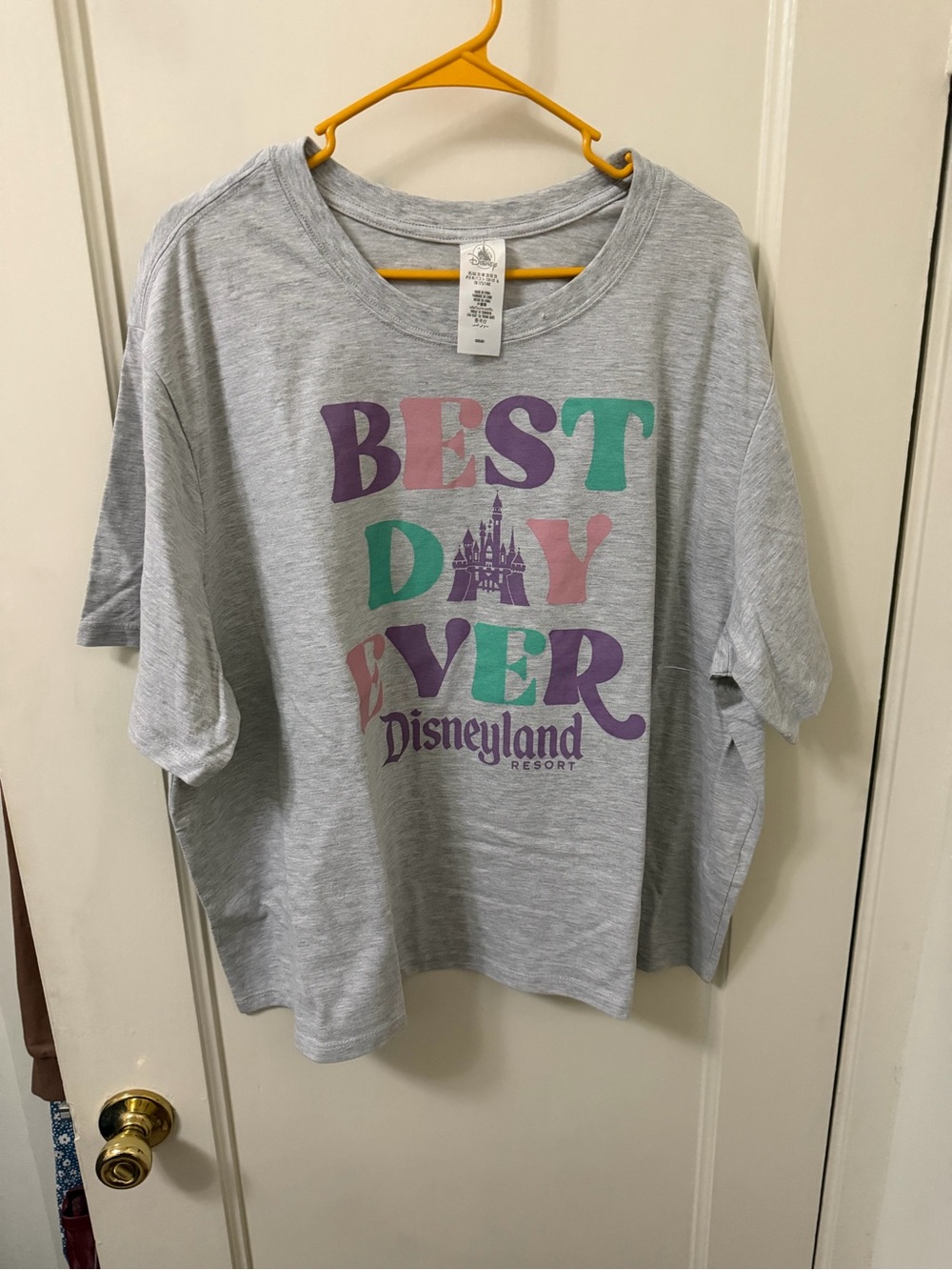 Disneyland "Best Day Ever" Gray Kids Tee